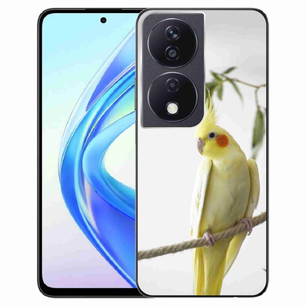 mmCase géltok az Honor X7b-hez – tollas papagáj
