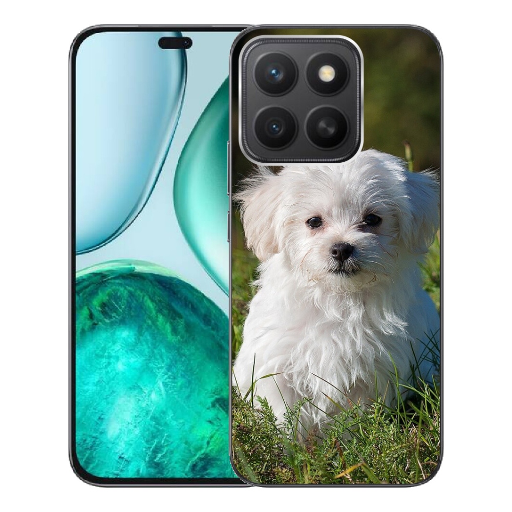 mmCase géltok az Honor X8c-hez – bichon frisé