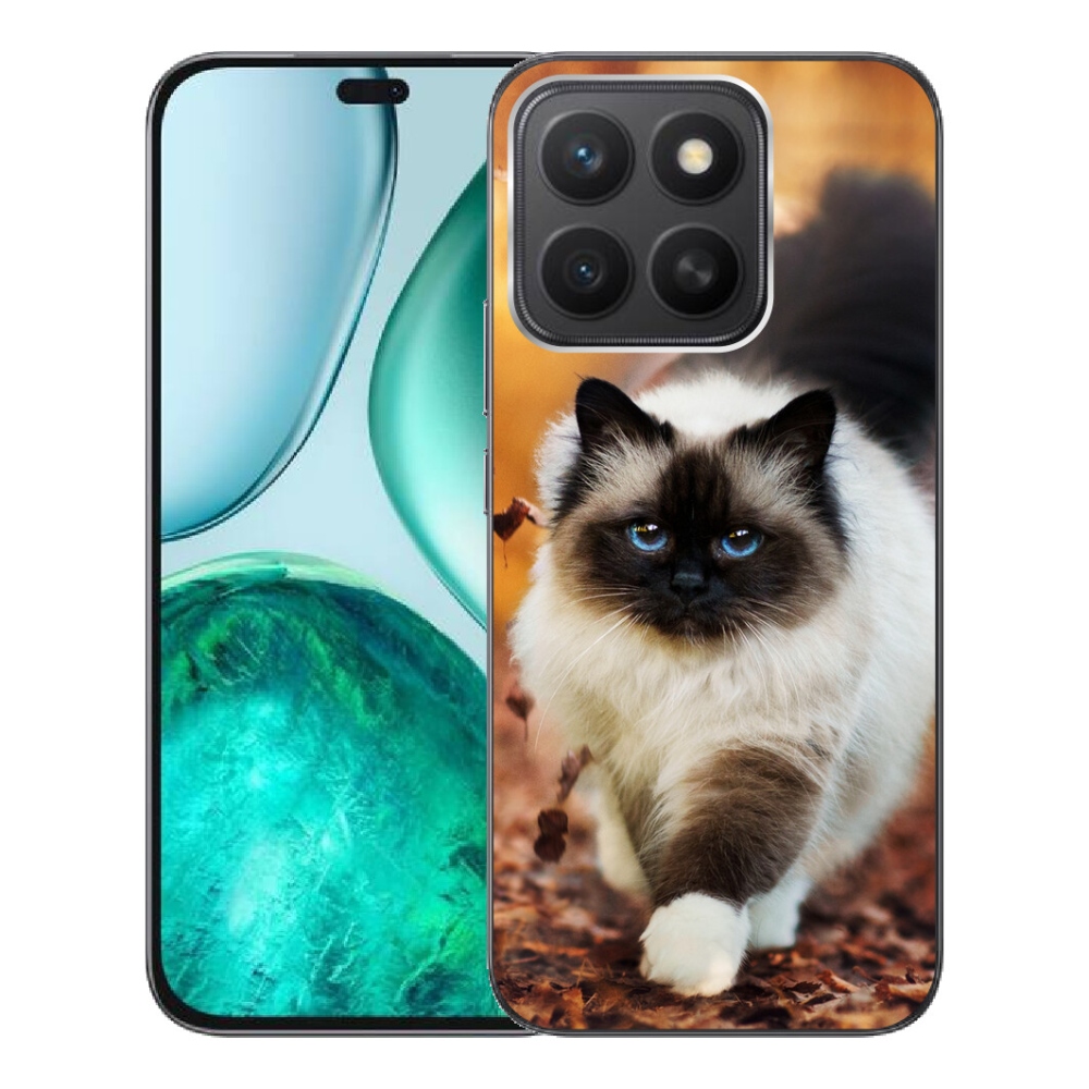 mmCase géltok az Honor X8c-hez – macska