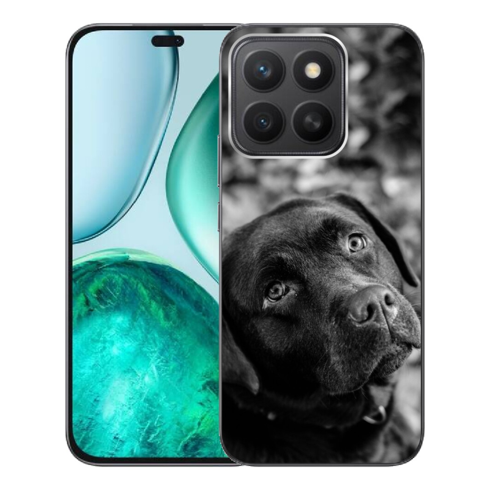 mmCase géltok az Honor X8c-hez – labrador