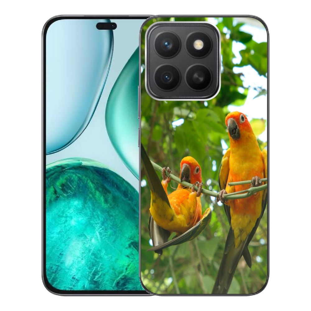 mmCase géltok az Honor X8c-hez – aratinga papagájok