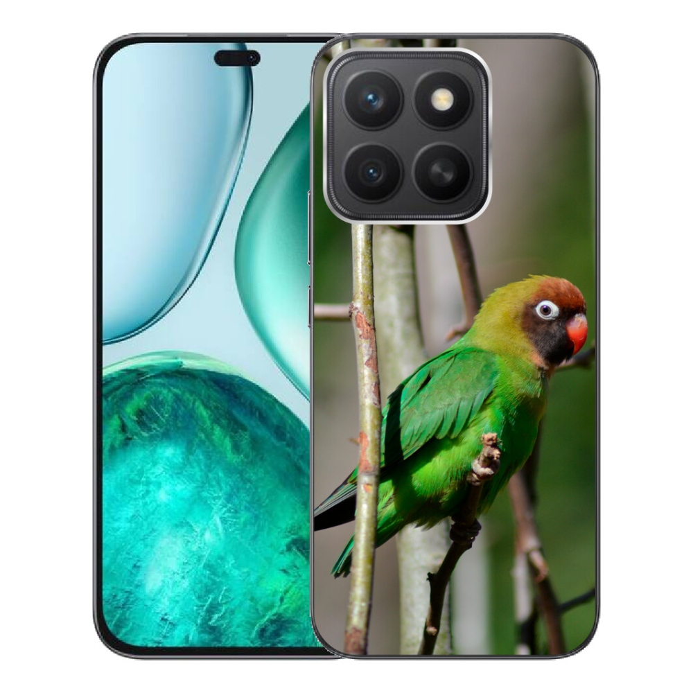 mmCase géltok az Honor X8c-hez – agapornis papagáj