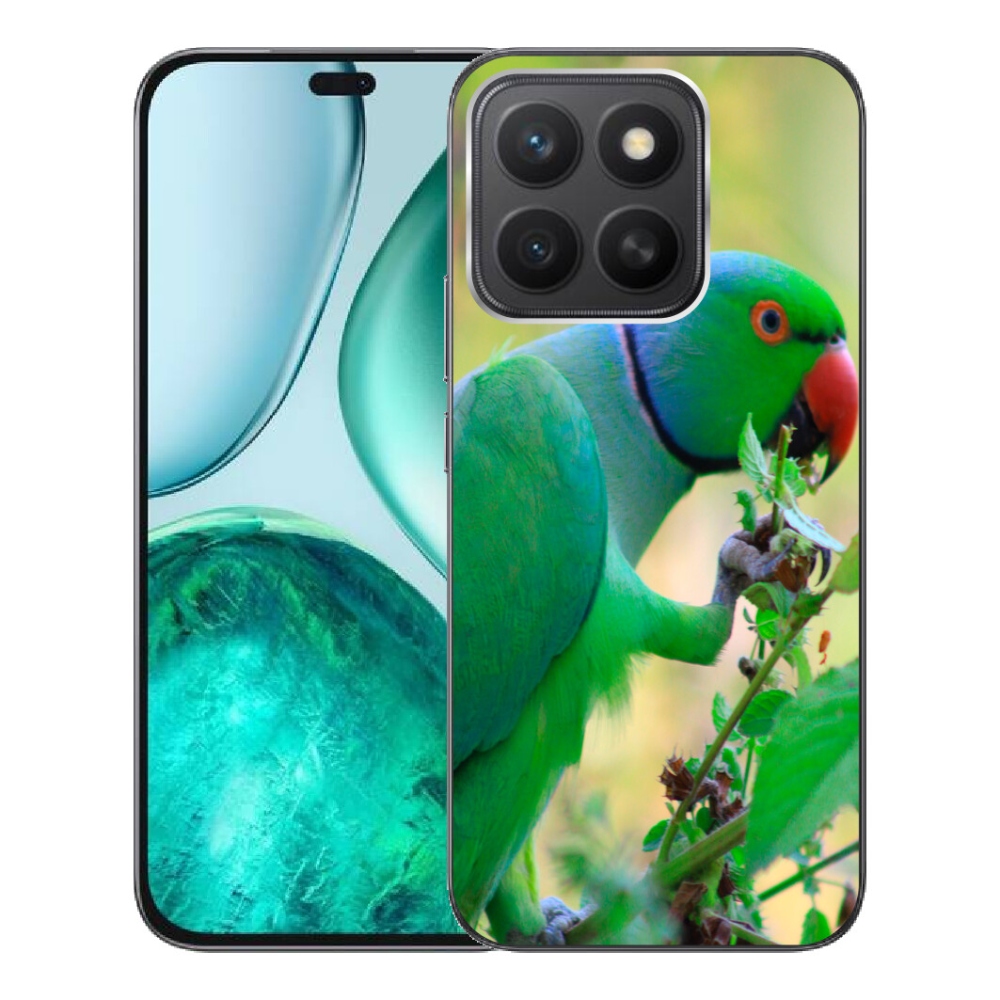 mmCase géltok az Honor X8c-hez – alexandri papagáj