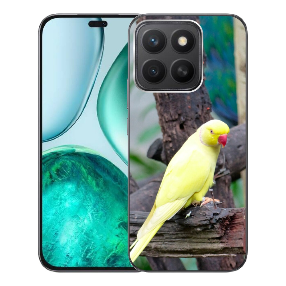 mmCase géltok az Honor X8c-hez – sárga alexandri papagáj