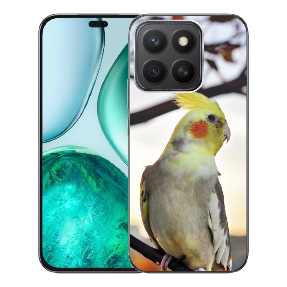 mmCase géltok az Honor X8c-hez – korella papagáj