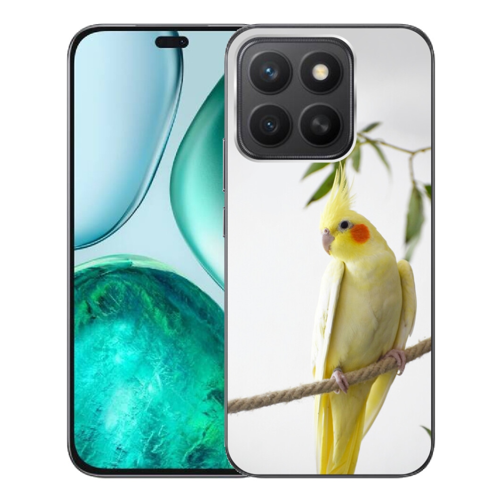 mmCase géltok az Honor X8c-hez – tollas papagáj