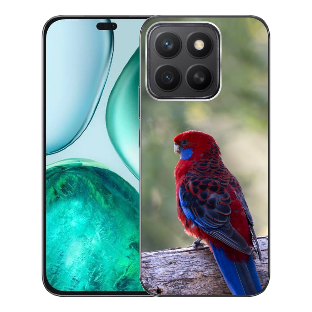 mmCase géltok az Honor X8c-hez – rosella papagáj
