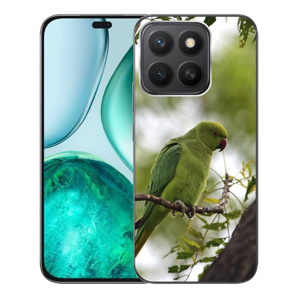 mmCase géltok az Honor X8c-hez – zöld papagáj