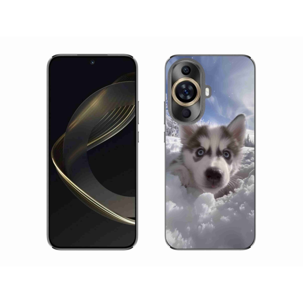 Gél borítás mmCase a Huawei Nova 11-hez - husky a hóban