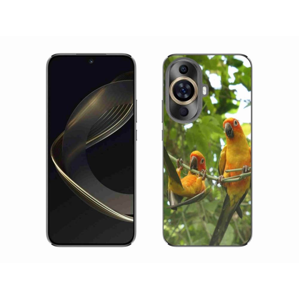 Gél borító mmCase a Huawei Nova 11-en - papagájok aratingy