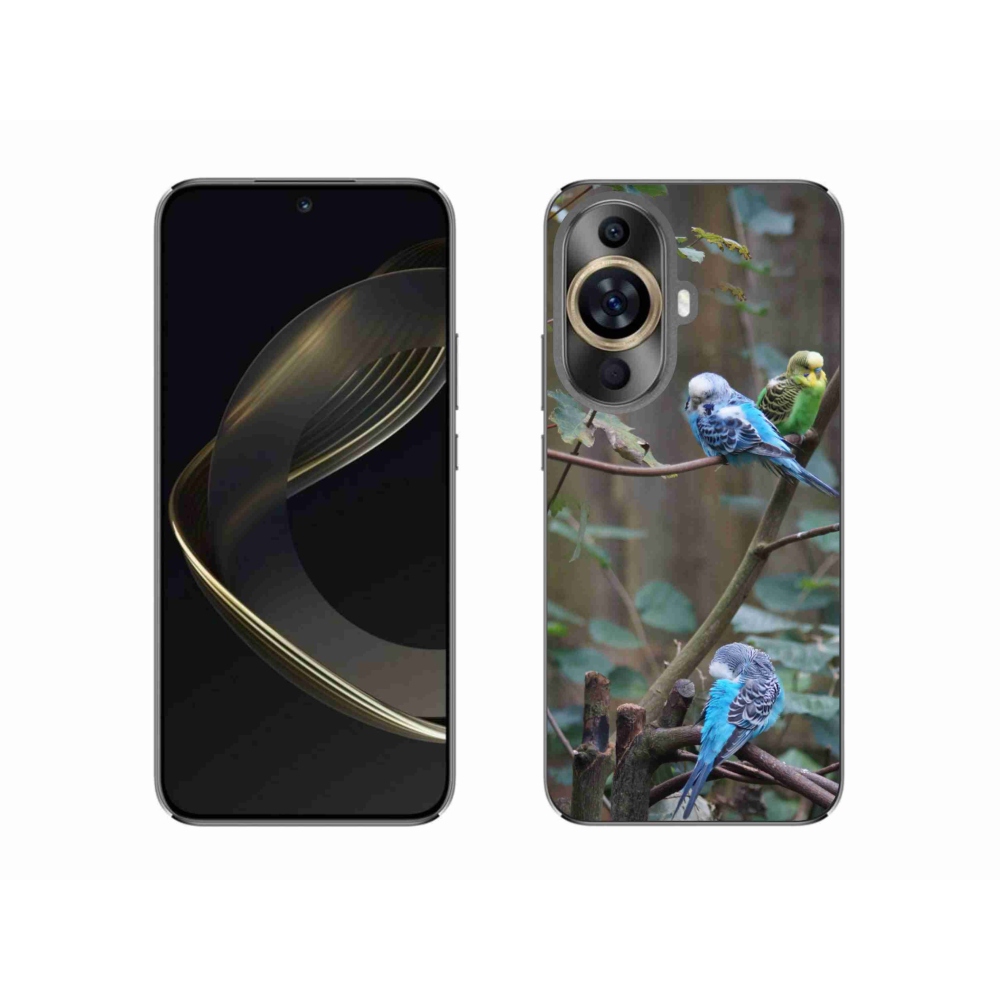 Gél borítás mmCase a Huawei Nova 11-en - papagájok az ágon