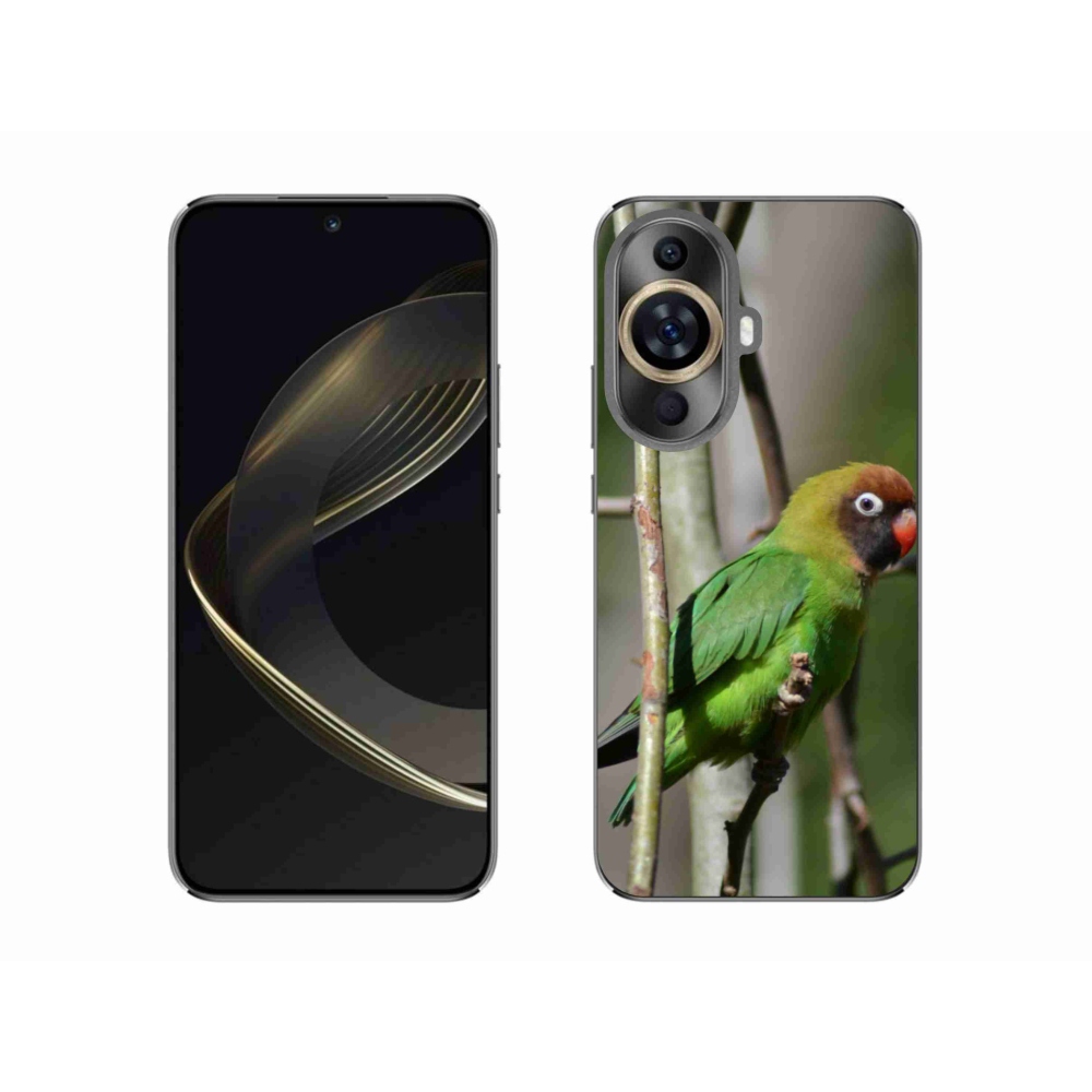 Gél borítás mmCase a Huawei Nova 11 készülékhez - papagáj agapornis