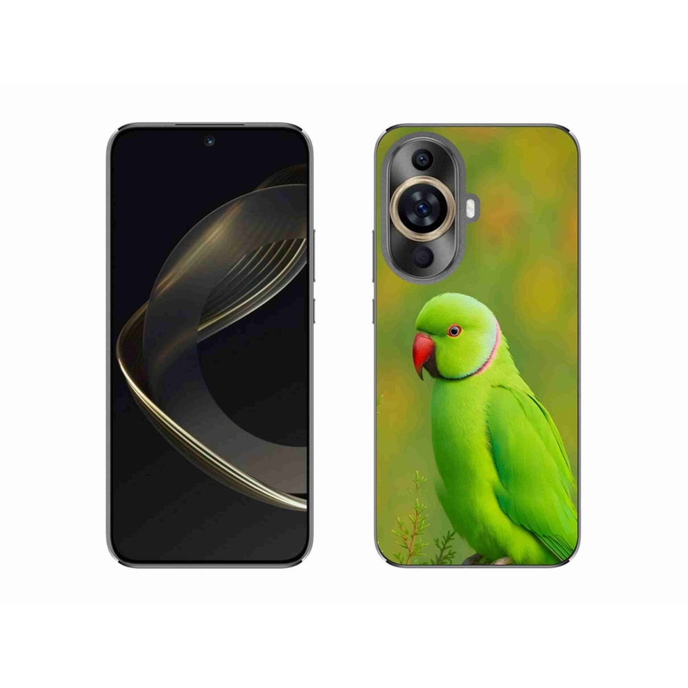 Gél borítás mmCase a Huawei Nova 11 készülékhez - papagáj alexander 2