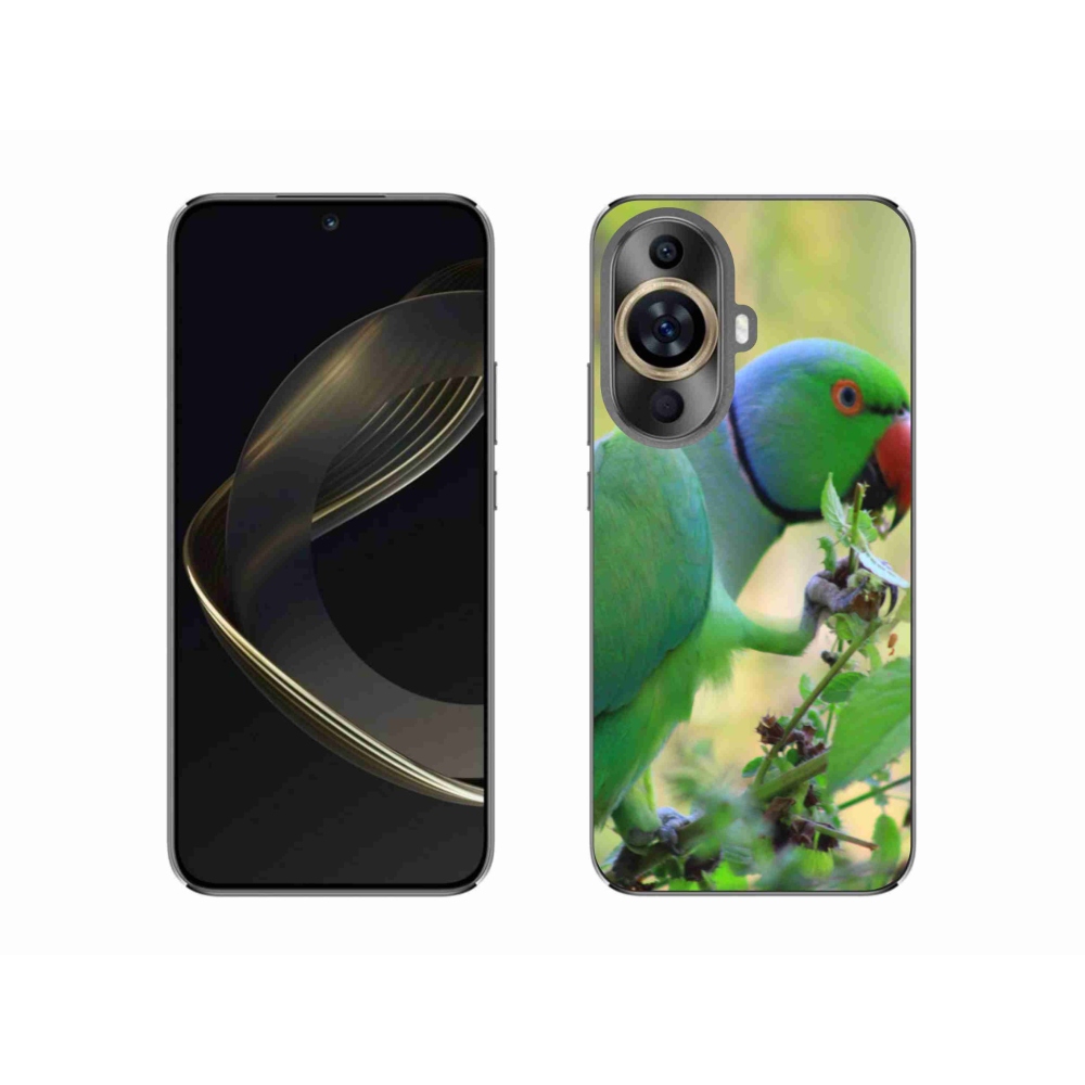Gél borítás mmCase a Huawei Nova 11 készülékre - papagáj alexandr