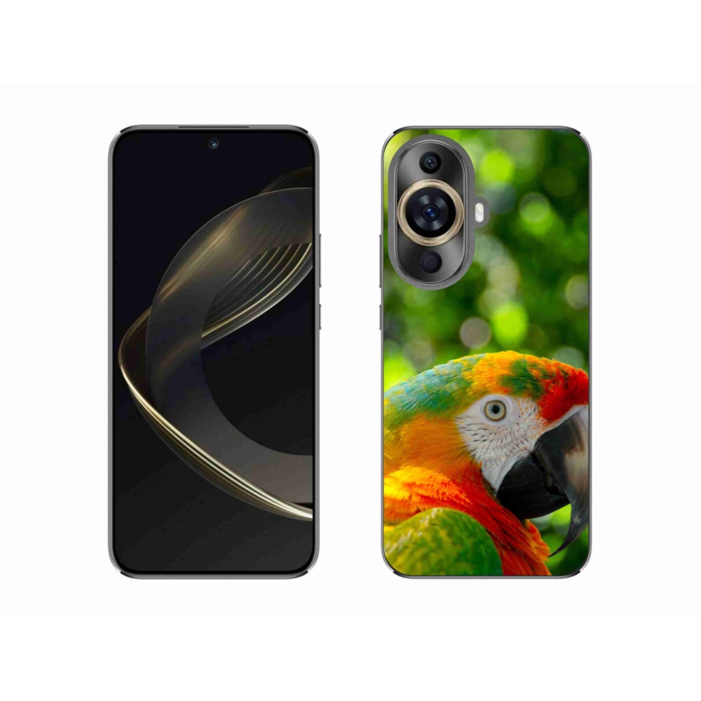 Gél borítás mmCase a Huawei Nova 11 készülékhez - papagáj ara 3