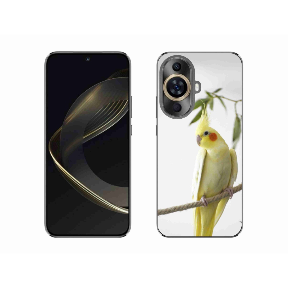 Gél borító mmCase a Huawei Nova 11 készülékre - papagáj korela chocholatá