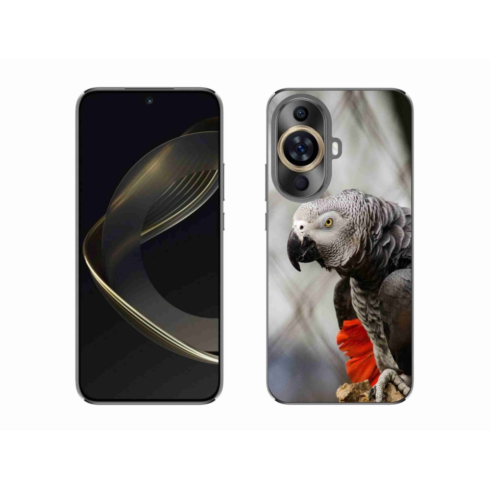 Gél borítás mmCase a Huawei Nova 11 készülékhez - papagáj jacco 3