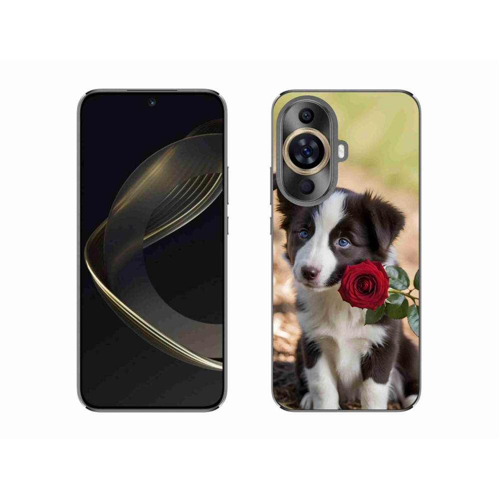 Gél borító mmCase a Huawei Nova 11-hez - aranyos border collie rózsával