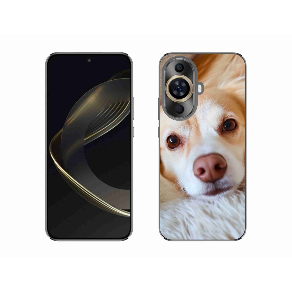 Gél borítás mmCase a Huawei Nova 11 készülékhez - Aranyos csivava