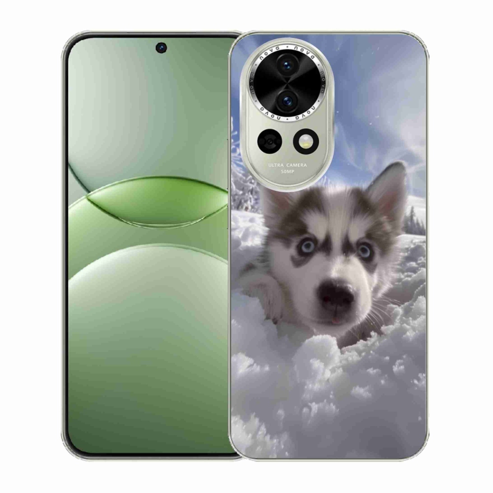 Gél borítás mmCase a Huawei Nova 13 5G számára - husky a hóban