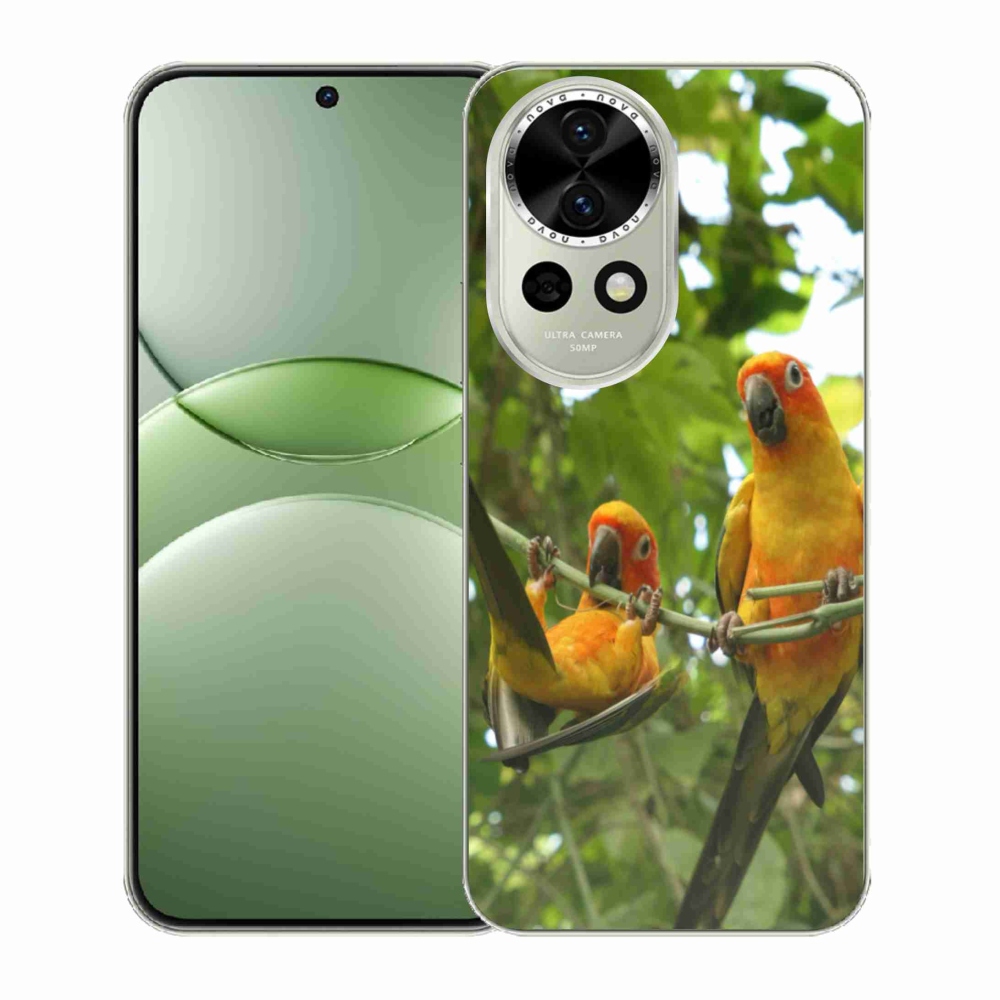 Gél borítás mmCase a Huawei Nova 13 5G-n - papagájok aratingy