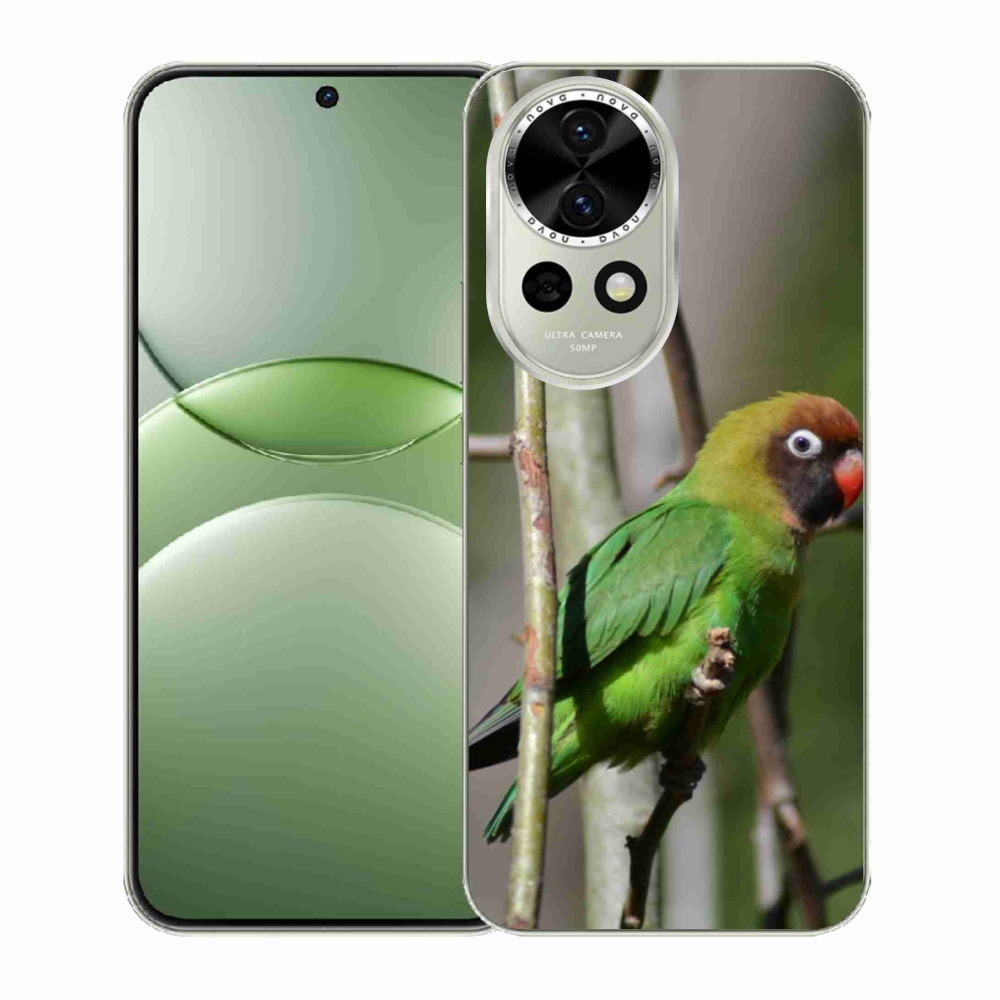 Gél borító mmCase a Huawei Nova 13 5G számára - papagáj agapornis