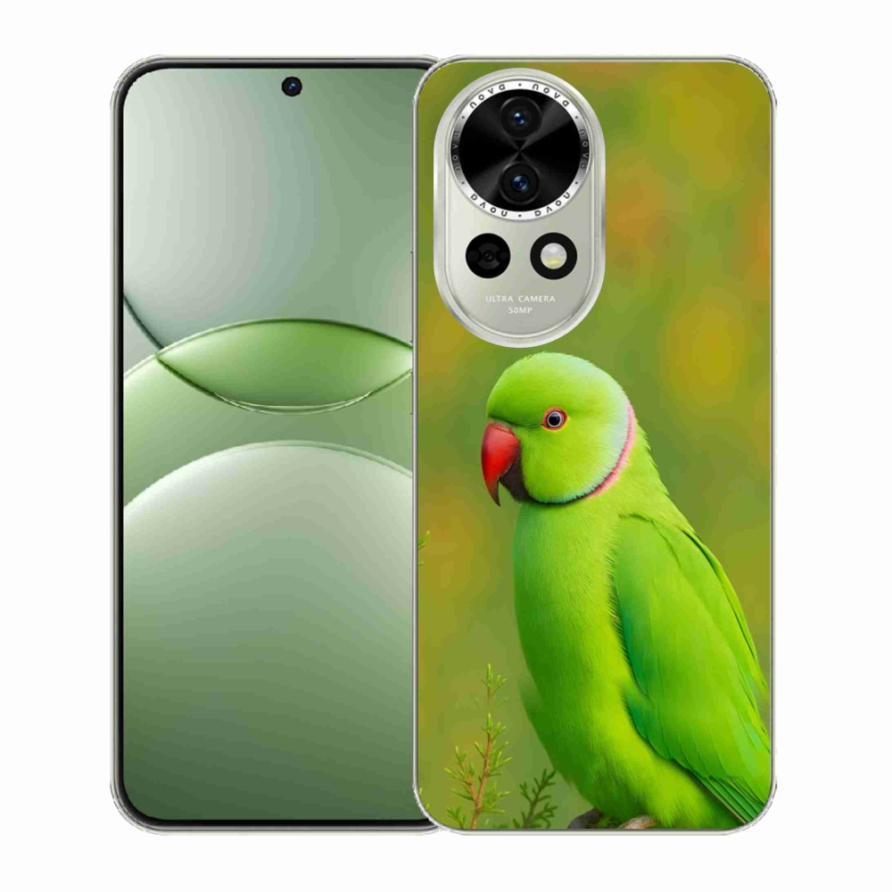 Gél borítás mmCase a Huawei Nova 13 5G - papagáj Alexander 2