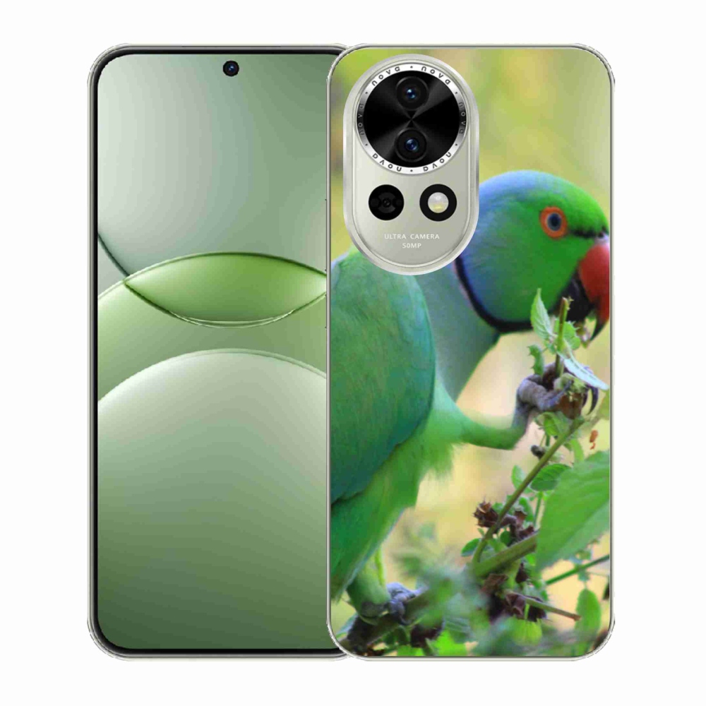 Gél borítás mmCase a Huawei Nova 13 5G készülékre - papagáj alexandr
