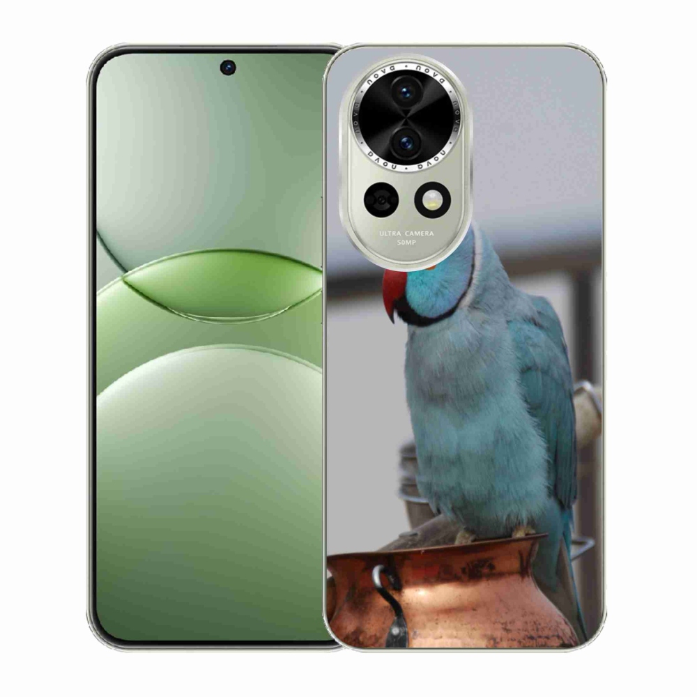 Gél borító mmCase a Huawei Nova 13 5G - papagáj alexander kékre