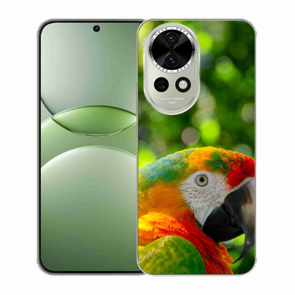 Gél borítás mmCase a Huawei Nova 13 5G készülékhez - papagáj ara 3