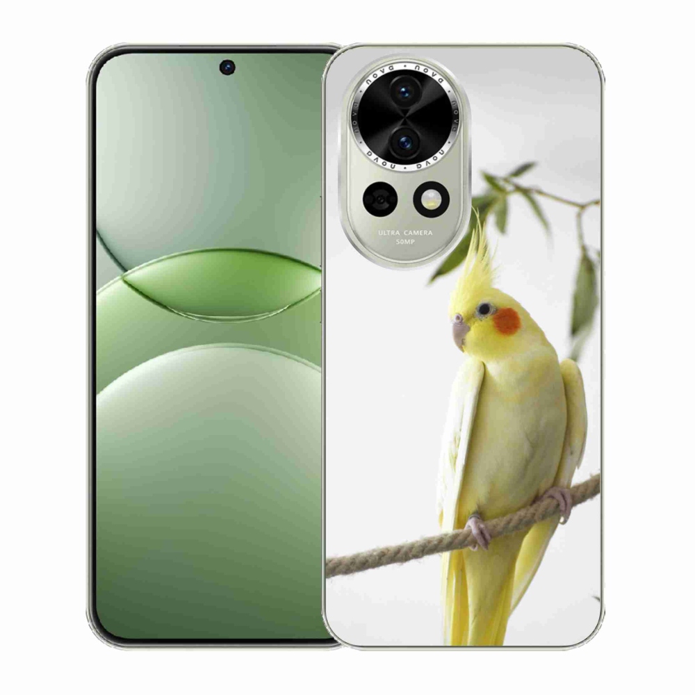 mmCase gél tok a Huawei Nova 13 5G-hez – tollas papagáj