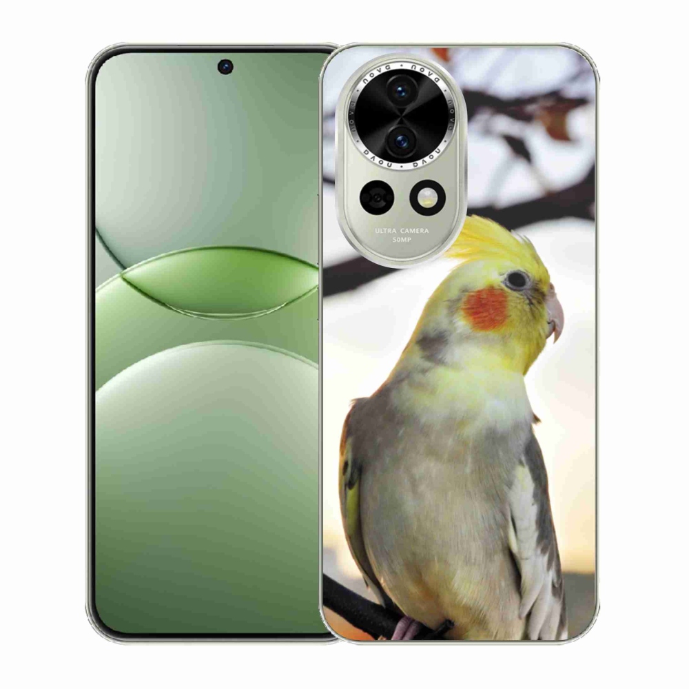 Gél borítás mmCase a Huawei Nova 13 5G készülékre - papagáj korela