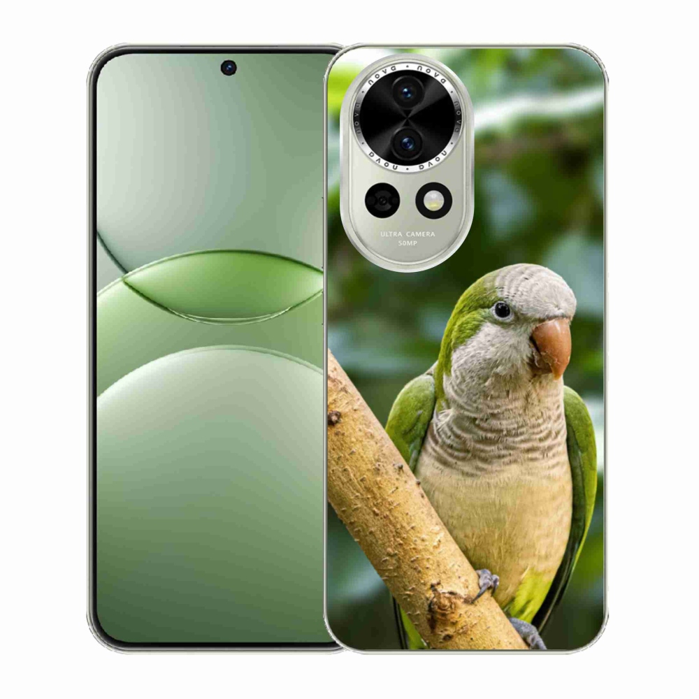Gél borítás mmCase a Huawei Nova 13 5G-n - papagáj szerzetes