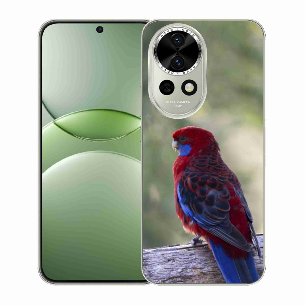 Gél borítás mmCase a Huawei Nova 13 5G készülékre - papagáj rosela