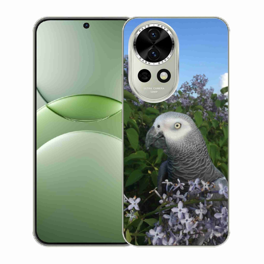 Gél borítás mmCase a Huawei Nova 13 5G készülékre - papagáj jacco