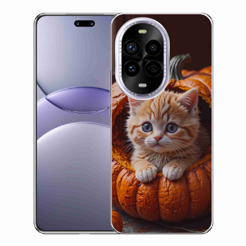 Gél borítás mmCase a Huawei Nova 13 Pro 5G-hez - cica és tök 2