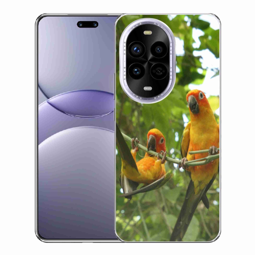 Gél borítás mmCase a Huawei Nova 13 Pro 5G-n - papagájok aratingy