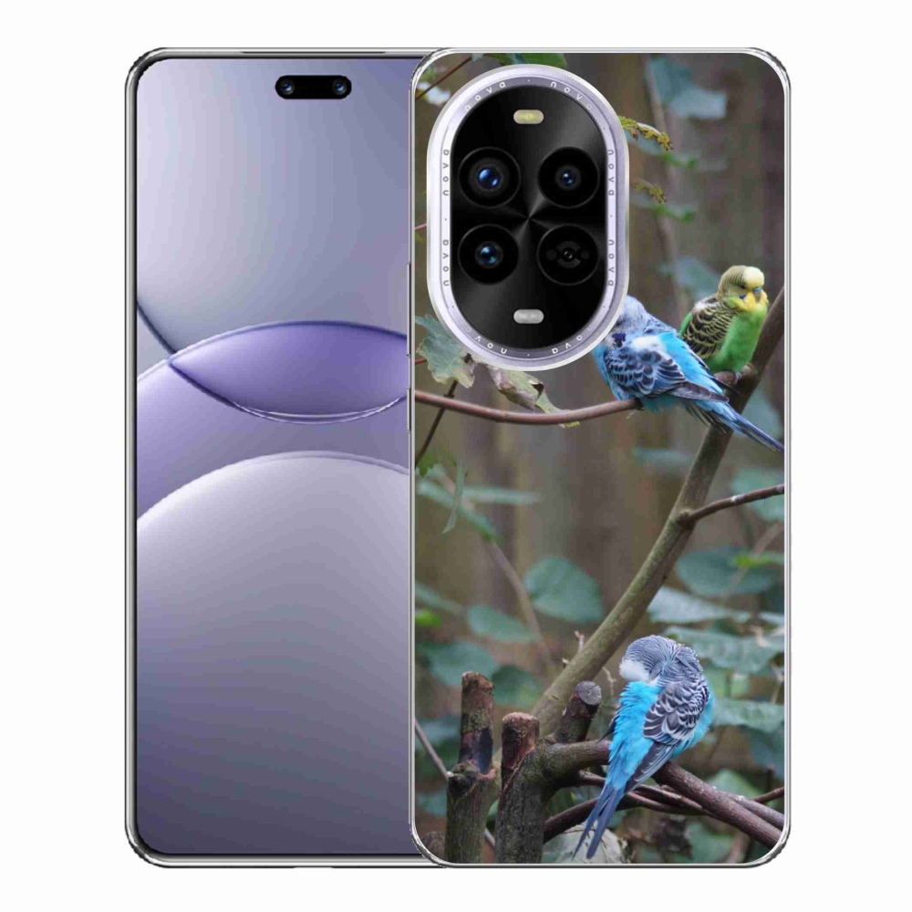 Gél borítás mmCase a Huawei Nova 13 Pro 5G-n - papagájok az ágon