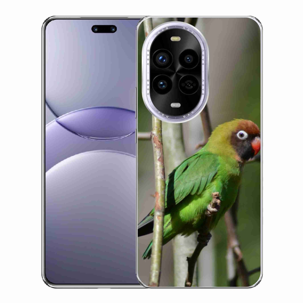 Gél borítás mmCase a Huawei Nova 13 Pro 5G számára - papagáj agapornis