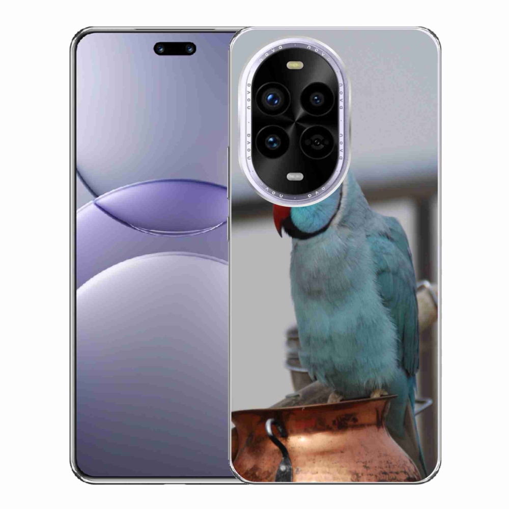 Gél borítás mmCase a Huawei Nova 13 Pro 5G - papagáj alexander kékre