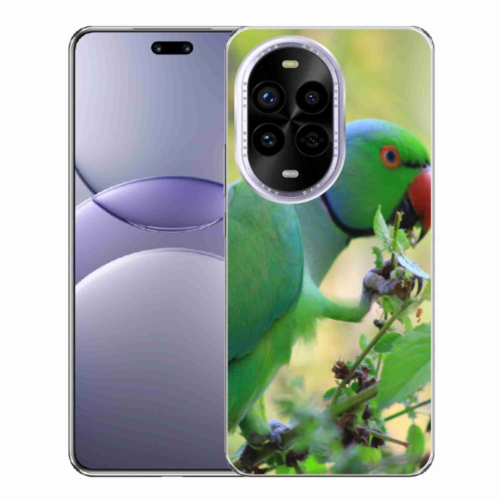 Gél borítás mmCase a Huawei Nova 13 Pro 5G-n - papagáj alexandr