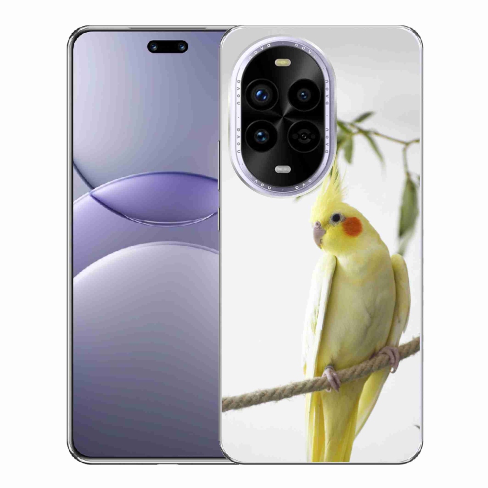 Gél borító mmCase a Huawei Nova 13 Pro 5G készülékhez - papagáj korela chocholatá