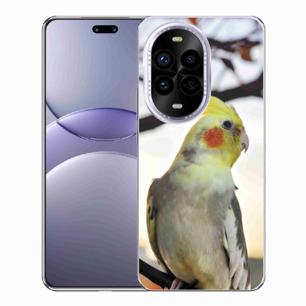 Gél borítás mmCase a Huawei Nova 13 Pro 5G-n - papagáj korela