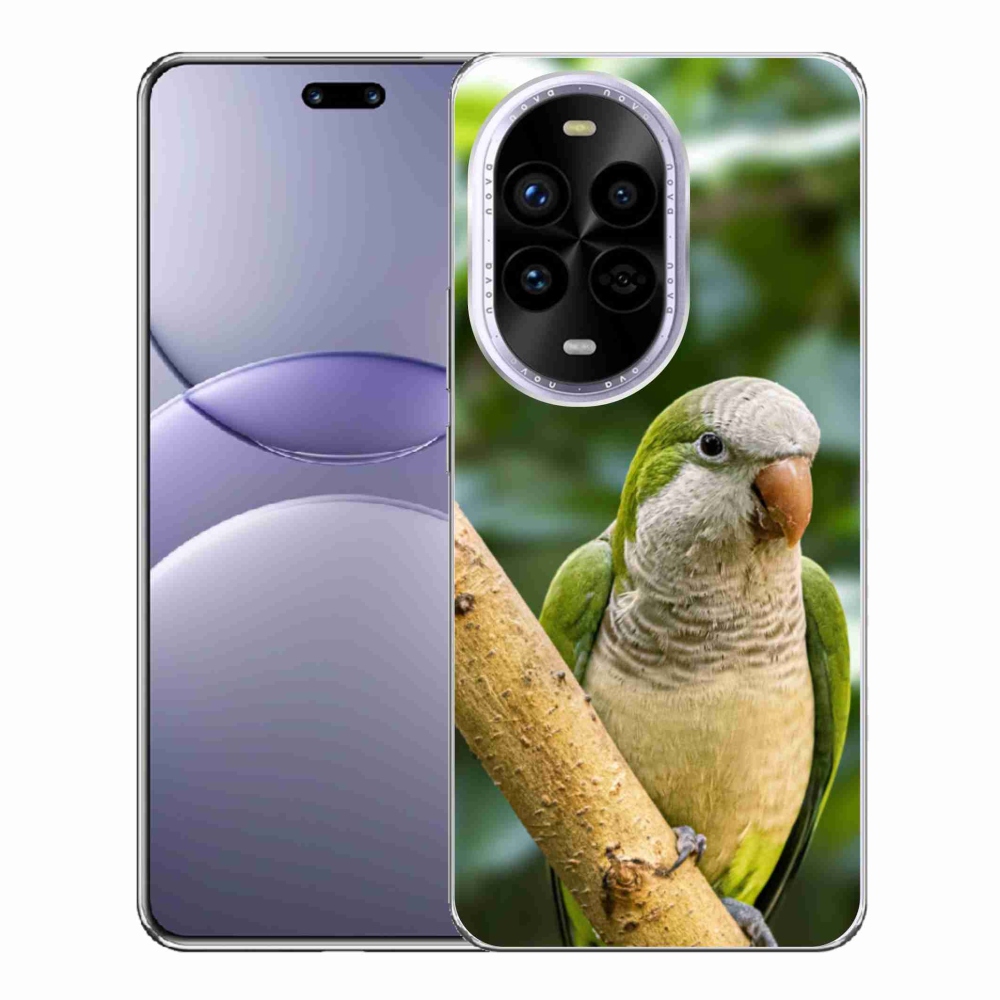 Gél borítás mmCase a Huawei Nova 13 Pro 5G-n - papagáj szerzetes