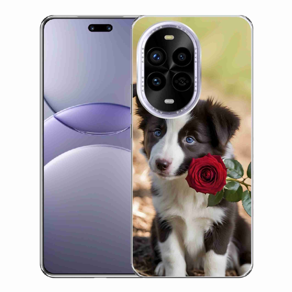 Gél borító mmCase a Huawei Nova 13 Pro 5G számára - aranyos border collie rózsával