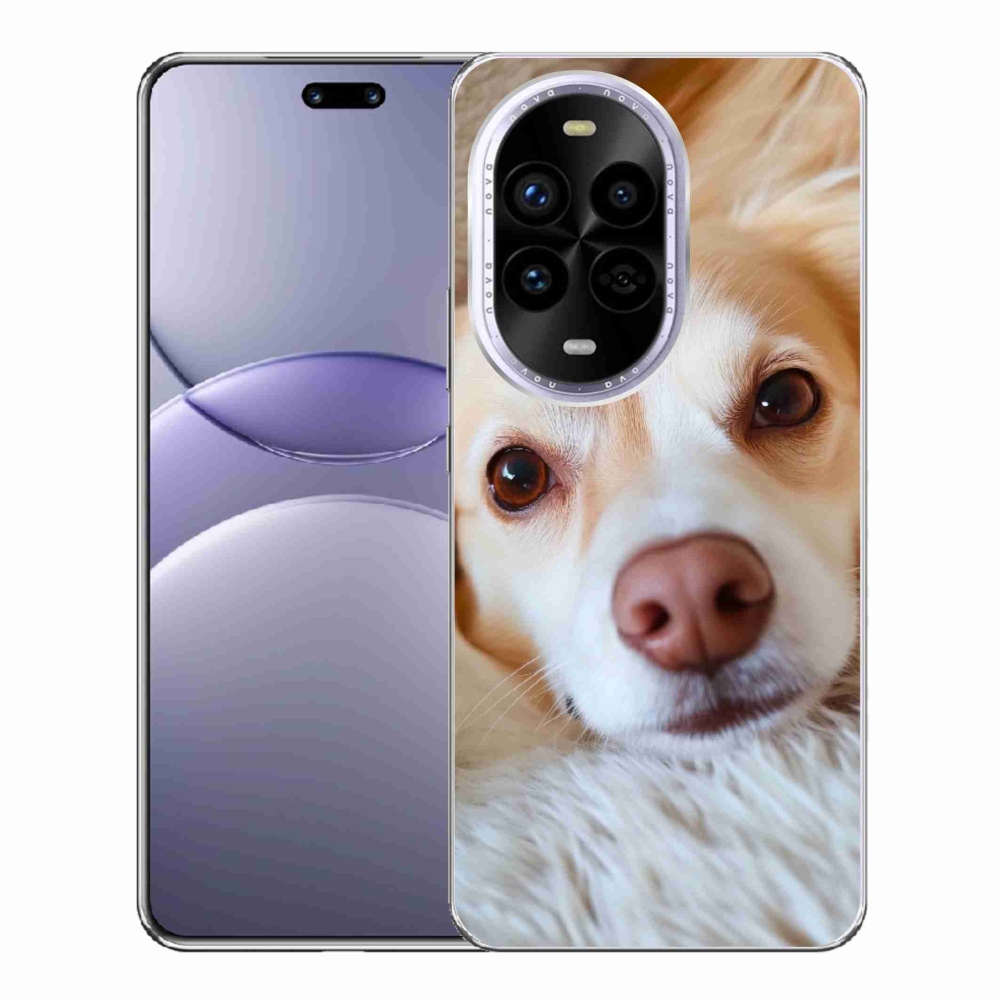 mmCase gél tok a Huawei Nova 13 Pro 5G-hez – Aranyos csivava