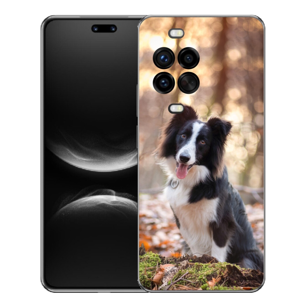 mmCase gél tok a Huawei Nova 14 Pro-hoz – border collie 1