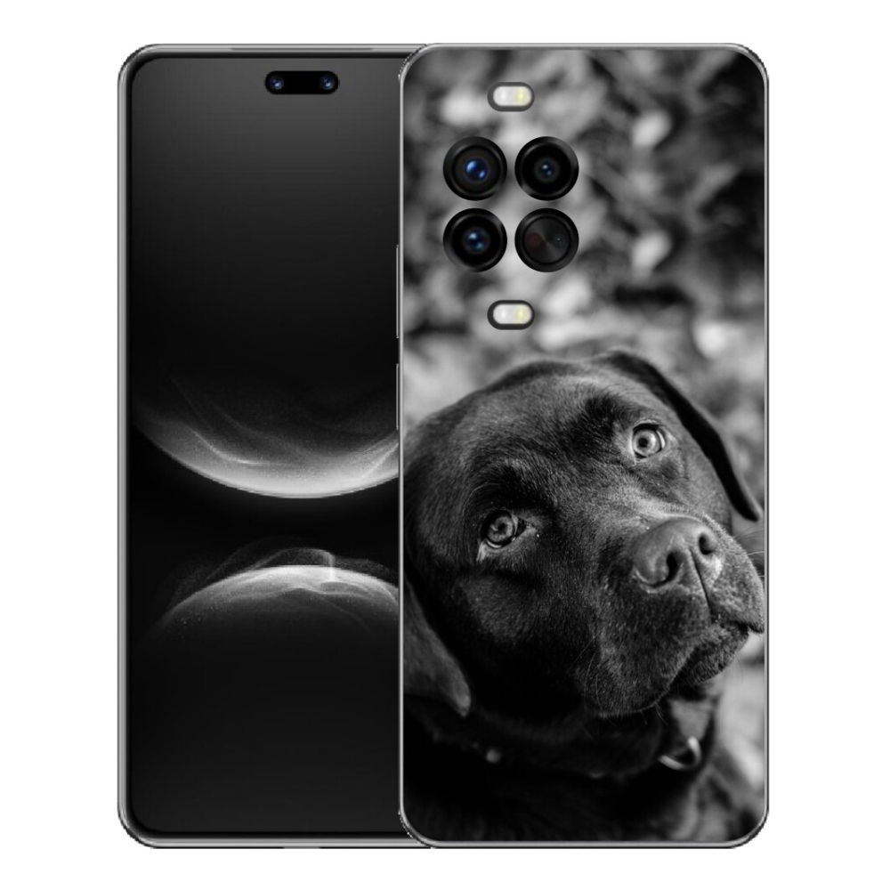 mmCase géltok a Huawei Nova 14 Pro-hoz – labrador