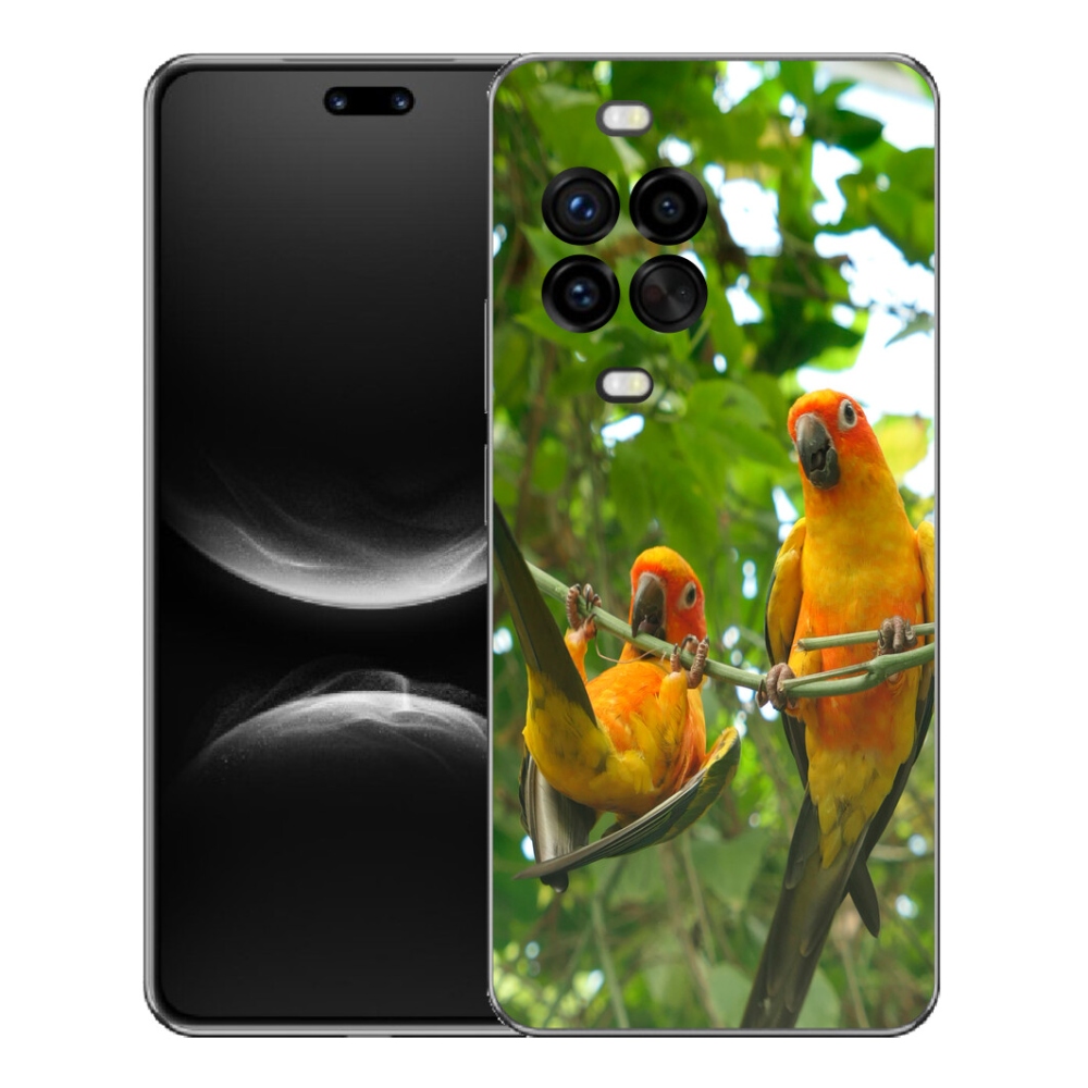 mmCase gélhuzat a Huawei Nova 14 Pro-hoz – aratinga papagájok