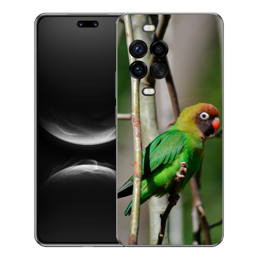mmCase géltok a Huawei Nova 14 Pro-hoz – agapornis papagáj